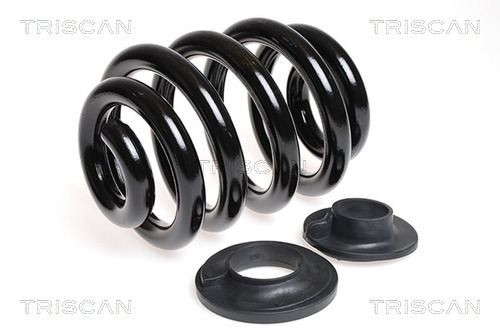 Triscan spiralfeder hinten - triscan,